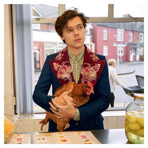 gucci fish and chips|Famous The Camp Fish and Chip Shop where Harry Styles .